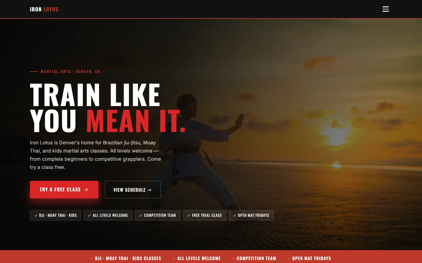 Screenshot of Iron Tiger Martial Arts website demo