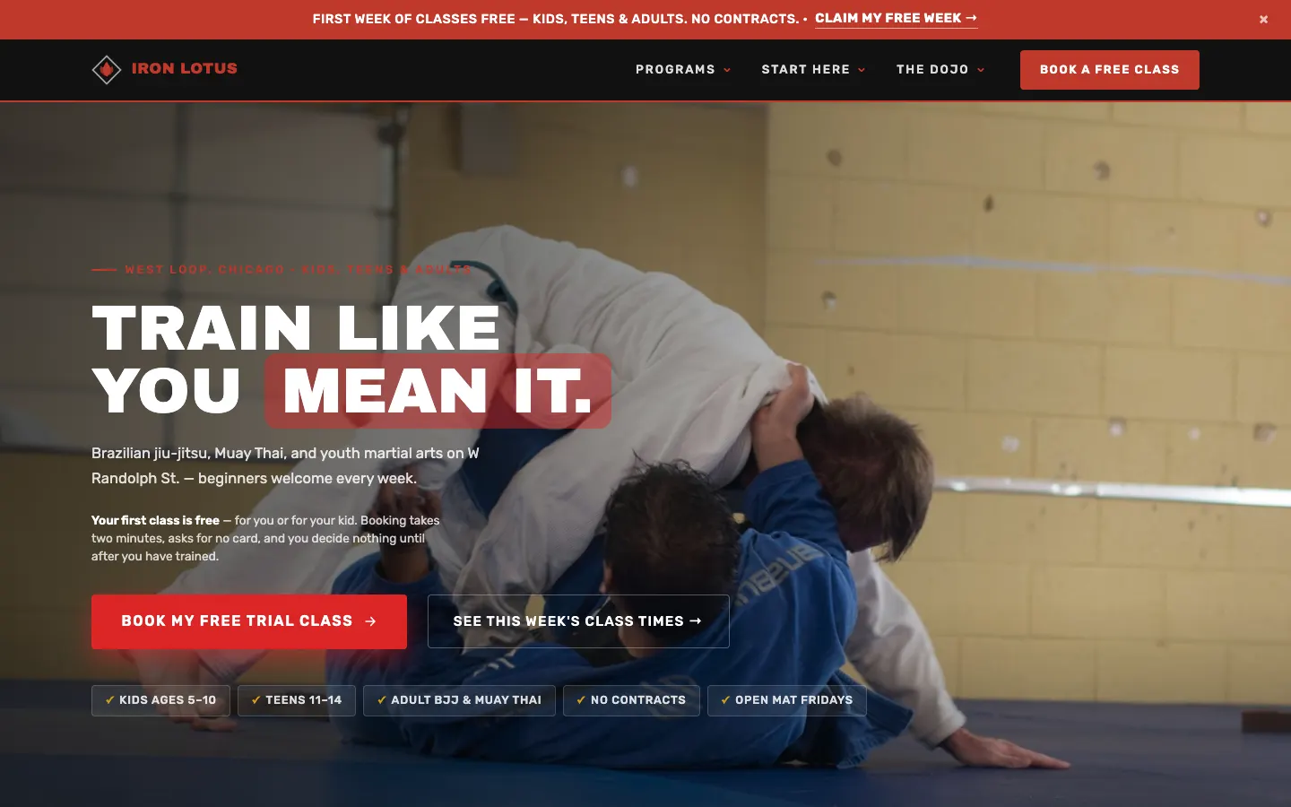 Screenshot of Iron Lotus Martial Arts website demo