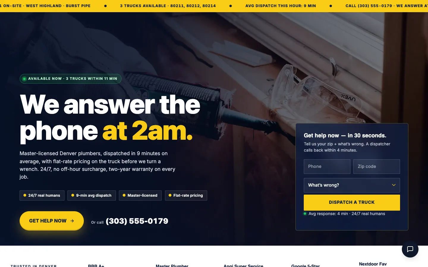 Screenshot of RapidFlow Plumbing & Drain website demo