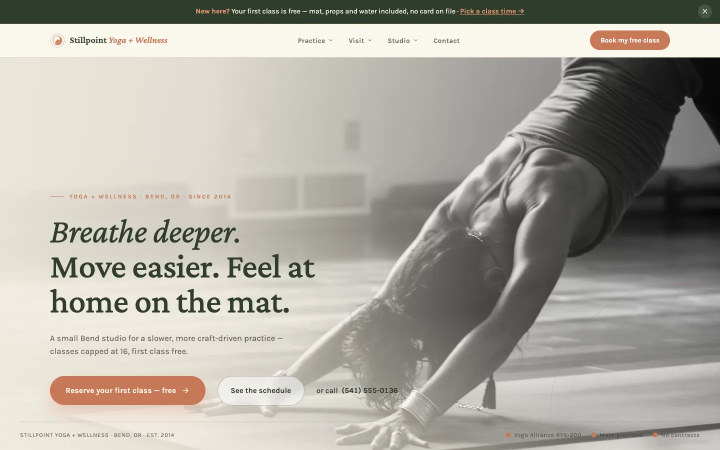 Screenshot of Harbor Wellness Studio website demo